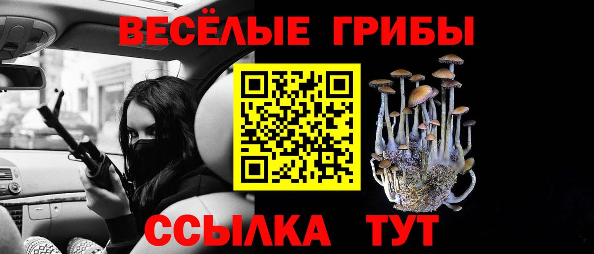 Галлюциногенные грибы мухоморы  Вход с VPN  Кириши  Галлюциногенные грибы Psilocybe 